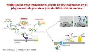 Simposio: Edición de genoma (Webinar introductorio)