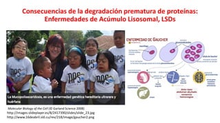 Simposio: Edición de genoma (Webinar introductorio)