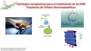 Simposio: Edición de genoma (Webinar introductorio)