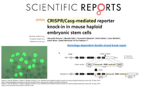 Simposio: Edición de genoma (Webinar introductorio)