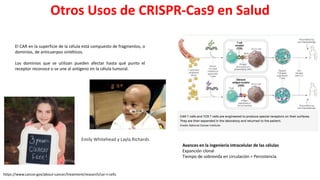 Simposio: Edición de genoma (Webinar introductorio)