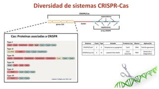 Simposio: Edición de genoma (Webinar introductorio)