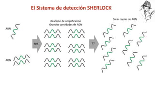 Simposio: Edición de genoma (Webinar introductorio)
