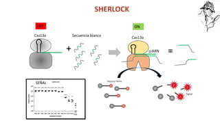 Simposio: Edición de genoma (Webinar introductorio)