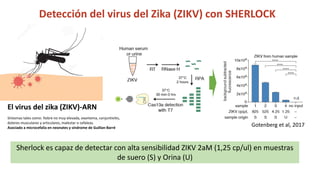 Simposio: Edición de genoma (Webinar introductorio)