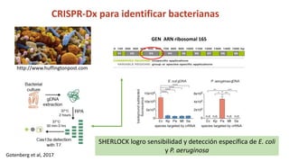 Simposio: Edición de genoma (Webinar introductorio)