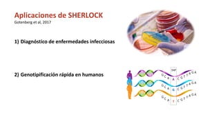 Simposio: Edición de genoma (Webinar introductorio)