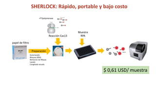Simposio: Edición de genoma (Webinar introductorio)