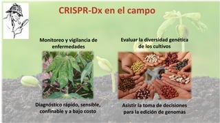 Simposio: Edición de genoma (Webinar introductorio)