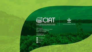 Simposio: Edición de genoma (Webinar introductorio)