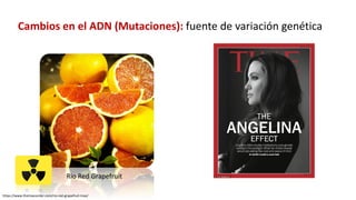 Simposio: Edición de genoma (Webinar introductorio)