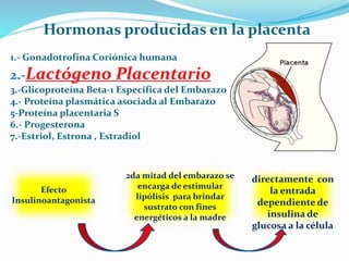 1.- Gonadotrofina Coriónica humana
2.-Lactógeno Placentario
3.-Glicoproteína Beta-1 Específica del Embarazo
4.- Proteína p...