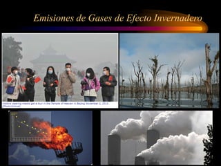 Emisiones de Gases de Efecto Invernadero
 