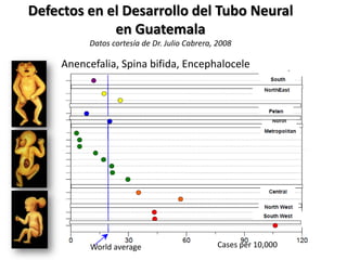 Defectos en el Desarrollo del Tubo Neural
             en Guatemala
          Datos cortesía de Dr. Julio Cabrera, 2008

     Anencefalia, Spina bifida, Encephalocele




           World average                      Cases per 10,000
 