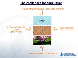 The challenges for agriculture
HIGHER AND DIVERSIFIED FOOD CONSUMPTION

WATER

SUSTAINABILITY FOR
FUTURE
GENERATIONS

LAND

CLIMATE
CHANGE

Irregular water availability,
extreme weather events,
higher normal temperatures

GENETIC RESOURCES

GROWING WORLD POPULATION

3

 