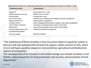 “The importance of these activities is that any action taken to sequester carbon in
biomass and soils will generally increase the organic matter content of soils, which
in turn will have a positive impact on environmental, agricultural and biodiversity
aspects of ecosystems.
The consequences of an increase in soil carbon storage can include increases in soil
fertility, land productivity for food production and security, and prevention of land
degradation”
Source: FAO

 