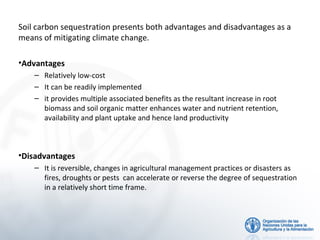 Soil carbon sequestration presents both advantages and disadvantages as a
means of mitigating climate change.
•Advantages
– Relatively low-cost
– It can be readily implemented
– it provides multiple associated benefits as the resultant increase in root
biomass and soil organic matter enhances water and nutrient retention,
availability and plant uptake and hence land productivity

•Disadvantages
– It is reversible, changes in agricultural management practices or disasters as
fires, droughts or pests can accelerate or reverse the degree of sequestration
in a relatively short time frame.

 