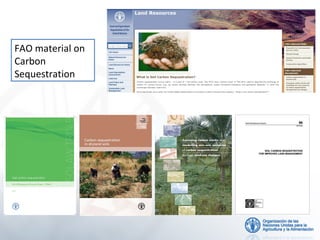 FAO material on
Carbon
Sequestration

 