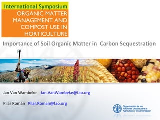  Importance of Soil Organic Matter in  Carbon Sequestration

Jan Van Wambeke Jan.VanWambeke@fao.org
Pilar Román Pilar.Roman@fao.org

 
