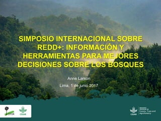Anne Larson
Lima, 1 de junio 2017
SIMPOSIO INTERNACIONAL SOBRE
REDD+: INFORMACIÓN Y
HERRAMIENTAS PARA MEJORES
DECISIONES SOBRE LOS BOSQUES
 