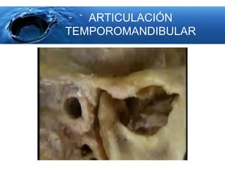 Caso clinico disfunción temporomandibular 2