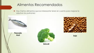 Alimentos Recomendados
 Hay Ciertos Alimentos que es interesante tener en cuenta para mejorar la
salud en los pulmones;
Pescado
Azul
Brócoli
Soja
 