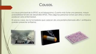 Causas.
La causa principal de la EPOC es el tabaquismo. Cuanto más fume una persona, mayor
probabilidad tendrá de desarrollar EPOC. Pero algunas personas fuman por años y nunca
padecen esta enfermedad.
En pocos casos, los no fumadores que carecen de una proteína llamada alfa-1 antitripsina
pueden presentar enfisema.
 