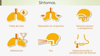 Síntomas.
 