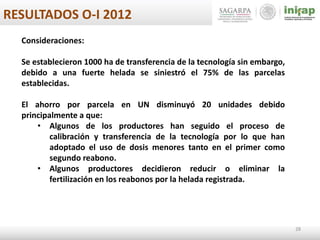 28
RESULTADOS O-I 2012
Consideraciones:
Se establecieron 1000 ha de transferencia de la tecnología sin embargo,
debido a una fuerte helada se siniestró el 75% de las parcelas
establecidas.
El ahorro por parcela en UN disminuyó 20 unidades debido
principalmente a que:
• Algunos de los productores han seguido el proceso de
calibración y transferencia de la tecnología por lo que han
adoptado el uso de dosis menores tanto en el primer como
segundo reabono.
• Algunos productores decidieron reducir o eliminar la
fertilización en los reabonos por la helada registrada.
 