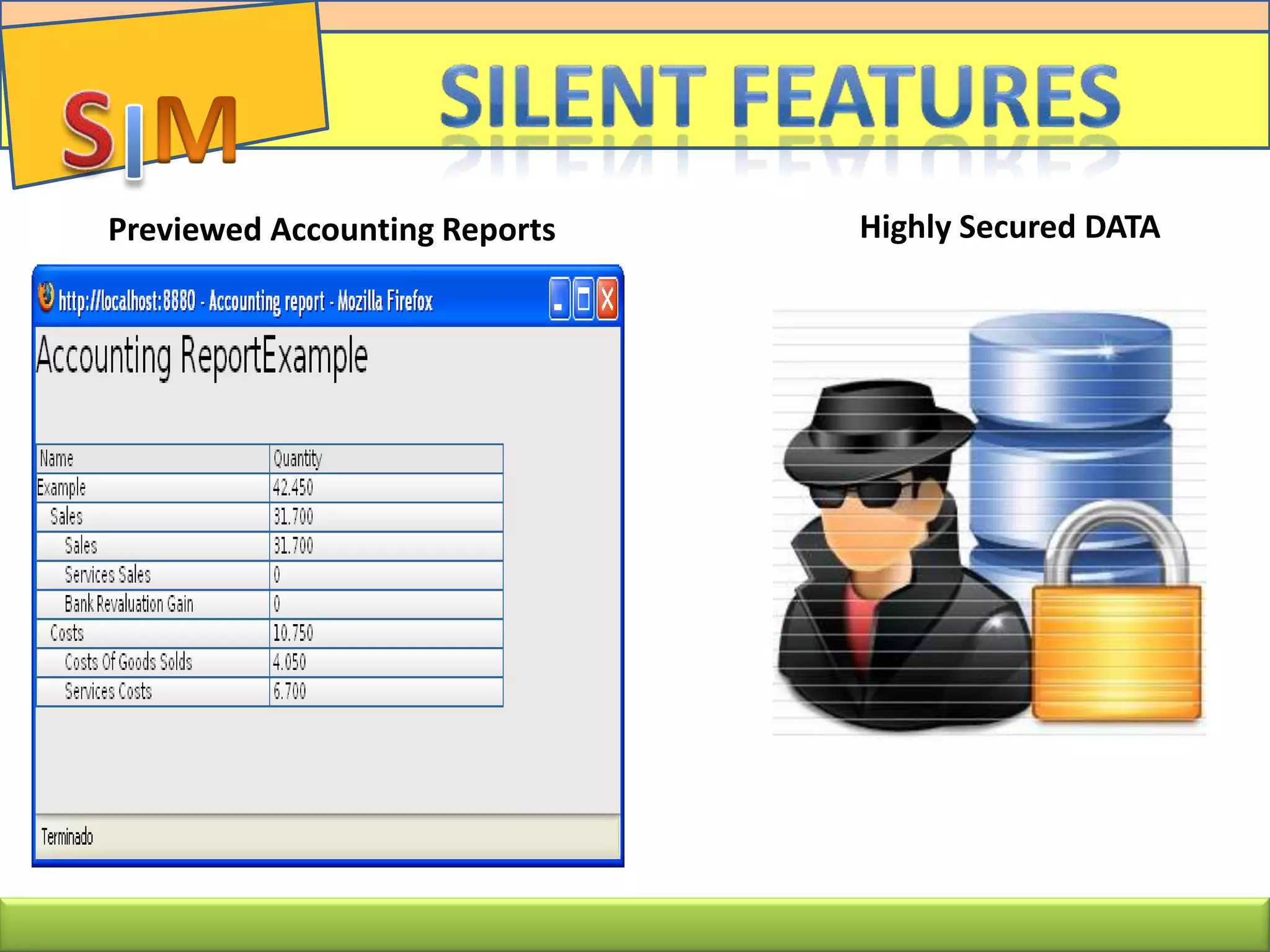 Previewed Accounting Reports Highly Secured DATA
 