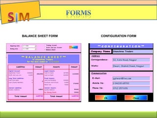 BALANCE SHEET FORM CONFIGURATION FORM
 