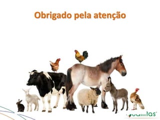 Obrigado pela atenção
 