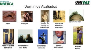 Domínios Avaliados
visão audição função de
membros
superiores
função de
membros
inferiores
estado mental
risco de queda
domiciliar
atividades de
vida diária
continência
urinária
estado
nutricional suporte
social
 