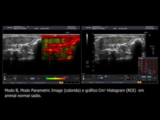 Modo B,  Modo Parametric Image (colorido) e gráfico Cm 2  Histogram (ROI)  em animal normal sadio. 
