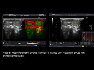 Modo B,  Modo Parametric Image (colorido) e gráfico Cm 2  Histogram (ROI)  em animal normal sadio. 