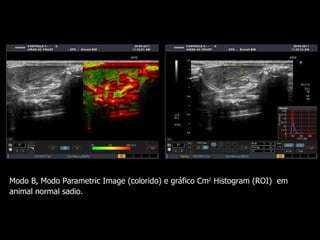 Modo B,  Modo Parametric Image (colorido) e gráfico Cm 2  Histogram (ROI)  em animal normal sadio. 