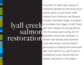 A number of years ago a group of
residents decided to help bring chum
salmon back to Lyall Creek. With
support from Fisheries and Oceans
Canada, volunteers began a program
to incubate chum eggs in Lyall Creek
and then release the young salmon
into the ocean each spring. An im-
passable culvert was replaced, in-
stream and riparian area restored.
Local elementary school children
participate in stocking the creek each
year with salmon fry. Lyall Creek is
considered to be a benchmark for
habitat restoration in the region.
lyall creek
salmon
restoration
 
