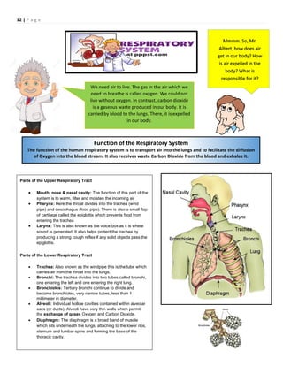 12 | P a g e
We need air to live. The gas in the air which we
need to breathe is called oxygen. We could not
live without oxygen. In contrast, carbon dioxide
is a gaseous waste produced in our body. It is
carried by blood to the lungs. There, it is expelled
in our body.
Mmmm. So, Mr.
Albert, how does air
get in our body? How
is air expelled in the
body? What is
responsible for it?
Function of the Respiratory System
The function of the human respiratory system is to transport air into the lungs and to facilitate the diffusion
of Oxygen into the blood stream. It also receives waste Carbon Dioxide from the blood and exhales it.
Parts of the Upper Respiratory Tract
 Mouth, nose & nasal cavity: The function of this part of the
system is to warm, filter and moisten the incoming air
 Pharynx: Here the throat divides into the trachea (wind
pipe) and oesophagus (food pipe). There is also a small flap
of cartilage called the epiglottis which prevents food from
entering the trachea
 Larynx: This is also known as the voice box as it is where
sound is generated. It also helps protect the trachea by
producing a strong cough reflex if any solid objects pass the
epiglottis.
Parts of the Lower Respiratory Tract
 Trachea: Also known as the windpipe this is the tube which
carries air from the throat into the lungs.
 Bronchi: The trachea divides into two tubes called bronchi,
one entering the left and one entering the right lung.
 Bronchioles: Tertiary bronchi continue to divide and
become bronchioles, very narrow tubes, less than 1
millimeter in diameter.
 Alveoli: Individual hollow cavities contained within alveolar
sacs (or ducts). Alveoli have very thin walls which permit
the exchange of gases Oxygen and Carbon Dioxide.
 Diaphragm: The diaphragm is a broad band of muscle
which sits underneath the lungs, attaching to the lower ribs,
sternum and lumbar spine and forming the base of the
thoracic cavity.
 