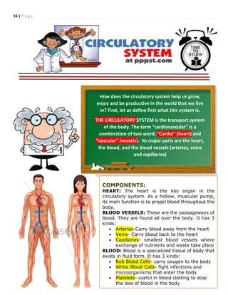 16 | P a g e
How does the circulatory system help us grow,
enjoy and be productive in the world that we live
in? First, let us define first what this system is.
THE CIRCULATORY SYSTEM is the transport system
of the body. The term “cardiovascular” is a
combination of two word; “Cardio” (heart) and
“vascular” (vessels). Its major parts are the heart,
the blood, and the blood vessels (arteries, veins
and capillaries)
COMPONENTS:
HEART: The heart is the key organ in the
circulatory system. As a hollow, muscular pump,
its main function is to propel blood throughout the
body.
BLOOD VESSELS: These are the passageways of
blood. They are found all over the body. It has 3
kinds:
 Arteries-Carry blood away from the heart
 Veins- Carry blood back to the heart
 Capillaries- smallest blood vessels where
exchange of nutrients and waste take place
BLOOD: Blood is a specialized tissue of body that
exists in fluid form. It has 3 kinds:
 Reb Blood Cells- carry oxygen to the body
 White Blood Cells- fight infections and
microorganisms that enter the body
 Platelets- useful in blood clotting to stop
the loss of blood in the body
 