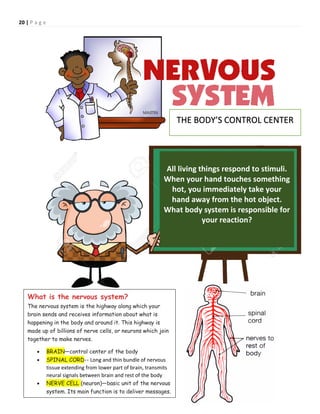 20 | P a g e
THE BODY’S CONTROL CENTER
All living things respond to stimuli.
When your hand touches something
hot, you immediately take your
hand away from the hot object.
What body system is responsible for
your reaction?
What is the nervous system?
The nervous system is the highway along which your
brain sends and receives information about what is
happening in the body and around it. This highway is
made up of billions of nerve cells, or neurons which join
together to make nerves.
 BRAIN—control center of the body
 SPINAL CORD-- Long and thin bundle of nervous
tissue extending from lower part of brain, transmits
neural signals between brain and rest of the body
 NERVE CELL (neuron)—basic unit of the nervous
system. Its main function is to deliver messages.
 