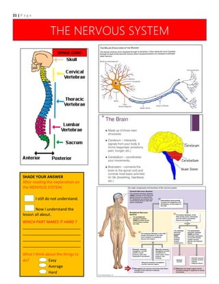 21 | P a g e
THE NERVOUS SYSTEM
SPINAL CORD
SHADE YOUR ANSWER
After reading the explanation on
the NERVOUS SYSTEM,
I still do not understand.
Now I understand the
lesson all about.
WHICH PART MAKES IT HARD ?
___________________________
___________________________
___________________________
___________________________
What I think about the things to
do? Easy
Average
Hard
 