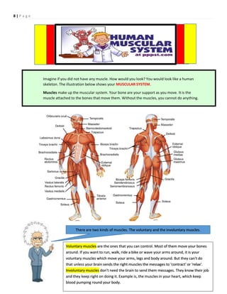 8 | P a g e
Imagine if you did not have any muscle. How would you look? You would look like a human
skeleton. The illustration below shows your MUSCULAR SYSTEM.
Muscles make up the muscular system. Your bone are your support as you move. It is the
muscle attached to the bones that move them. Without the muscles, you cannot do anything.
There are two kinds of muscles. The voluntary and the involuntary muscles.
Voluntary muscles are the ones that you can control. Most of them move your bones
around. If you want to run, walk, ride a bike or wave your arms around, it is your
voluntary muscles which move your arms, legs and body around. But they can't do
that unless your brain sends the right muscles the messages to 'contract' or 'relax'.
Involuntary muscles don't need the brain to send them messages. They know their job
and they keep right on doing it. Example is, the muscles in your heart, which keep
blood pumping round your body.
 