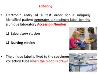 Labstyle Numbering sims2021automationintheclinicallab-210625094111.pdf