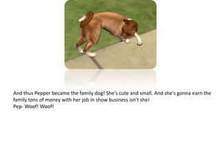 And thus Pepper became the family dog! She's cute and small. And she's gonna earn the family tons of money with her job in show business isn't she!Pep- Woof! Woof!