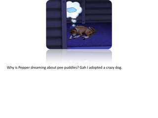 Why is Pepper dreaming about pee puddles? Gah I adopted a crazy dog.