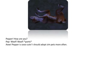 Pepper! How are you?Pep- Woof! Woof! *pants*Aww! Pepper is sooo cute! I should adopt sim pets more often.