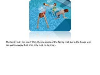 The family is in the pool! Well, the members of the family that live in the house who can walk anyway. And who only walk on two legs.