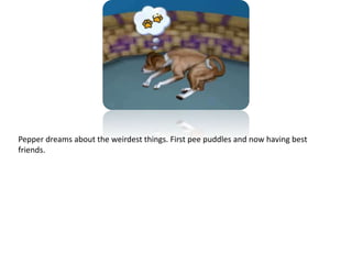 Pepper dreams about the weirdest things. First pee puddles and now having best friends.