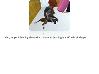 Ahh, Pepper is learning about what it means to be a dog in a 100 baby challenge.