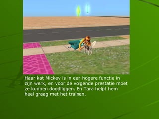 Haar kat Mickey is in een hogere functie in
zijn werk, en voor de volgende prestatie moet
ze kunnen doodliggen. En Tara helpt hem
heel graag met het trainen.
 